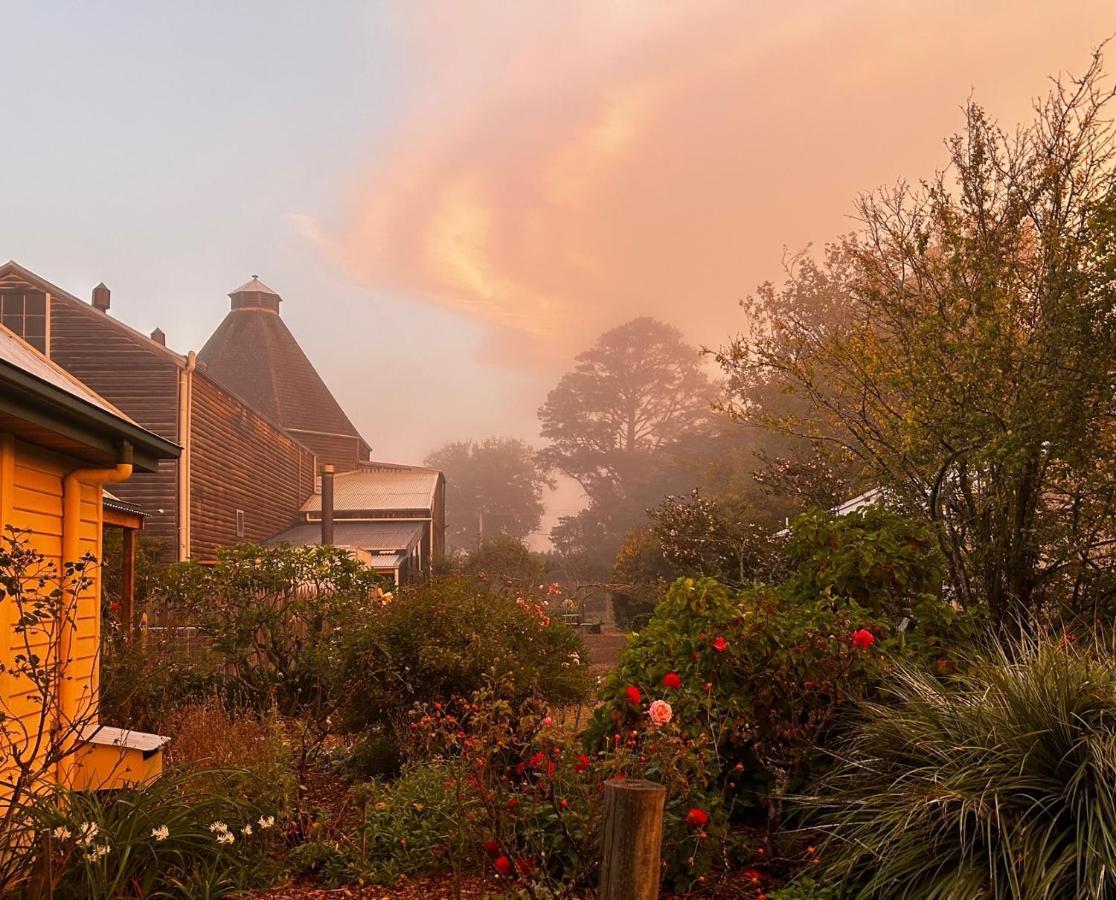 Clifton Homestead Ranelagh Exterior photo