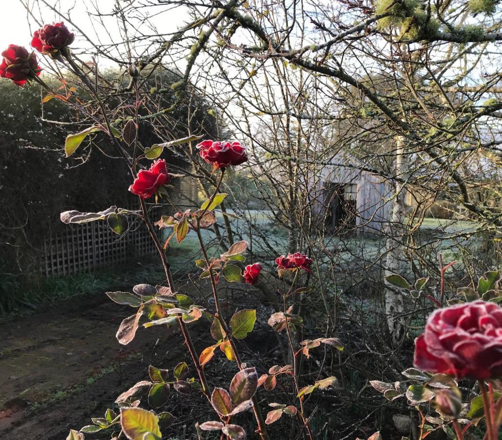 Clifton Homestead Ranelagh Exterior photo